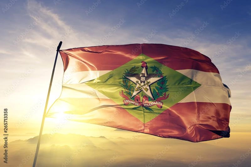 Imagem ilustrativa de Assessoria aduaneira em Santa Catarina